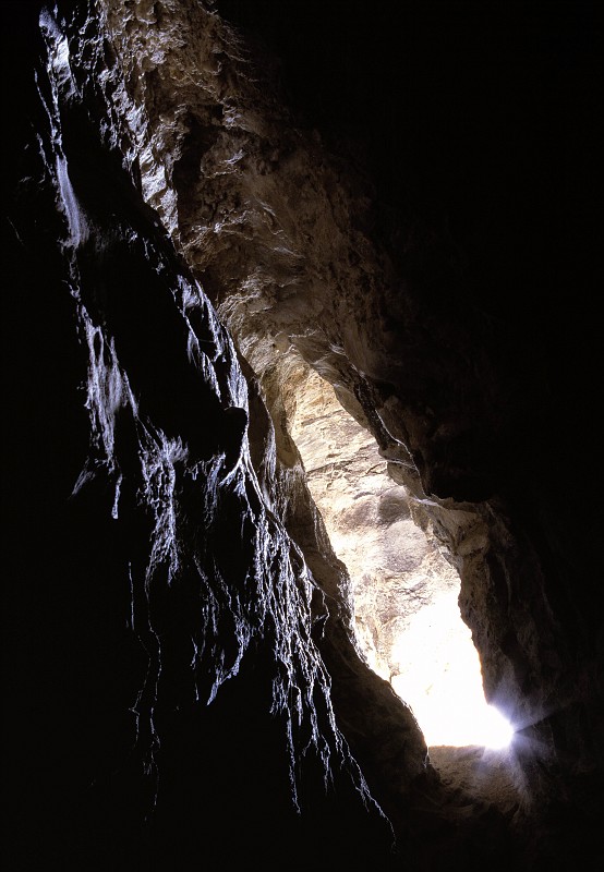 The entrance to Hansen Cave.  Photo by Brandon Kowallis.